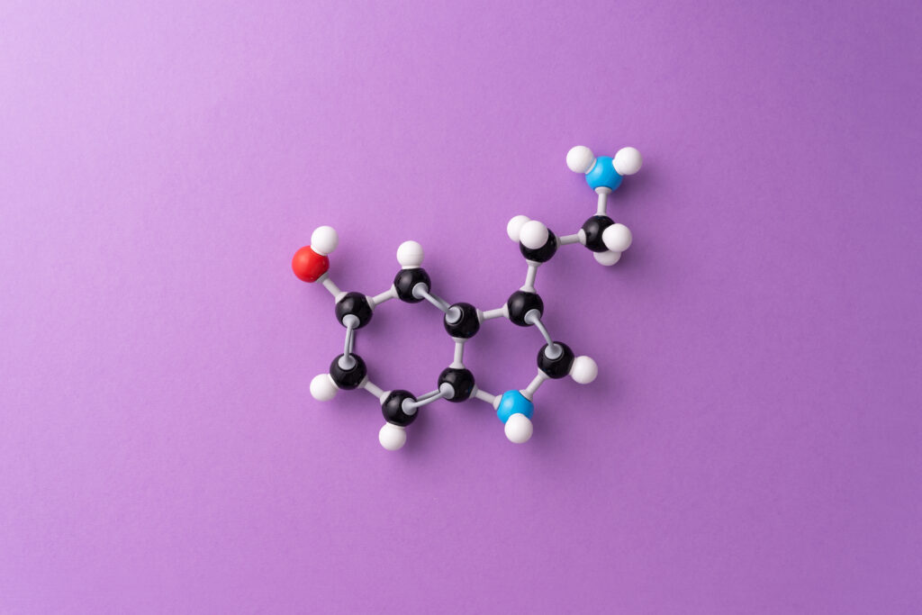 Explore the contrasting differences between small molecule drugs and large molecule drugs.